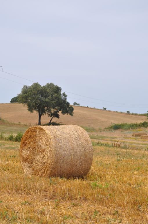 Foros do Locario Monte Do Espadanal 빌라 외부 사진